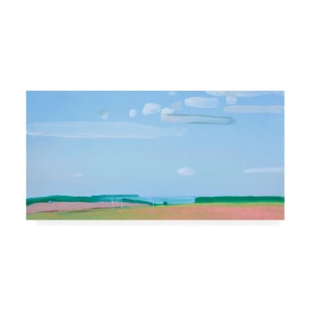 Igor Nekraha 'Cloudy Sky Blue' Canvas Art,16x32